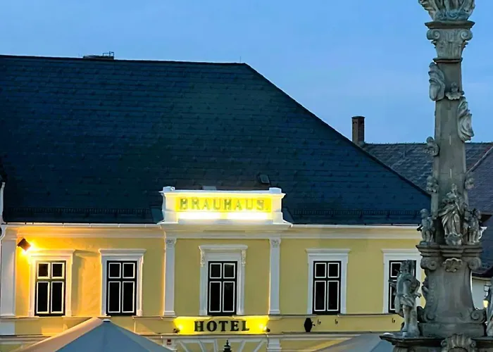 Hotel Brauhotel 4*